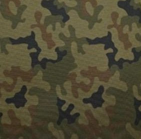 SHS-124 SPARTAN PLATE CARRIER